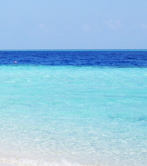 网络家教赚钱案例