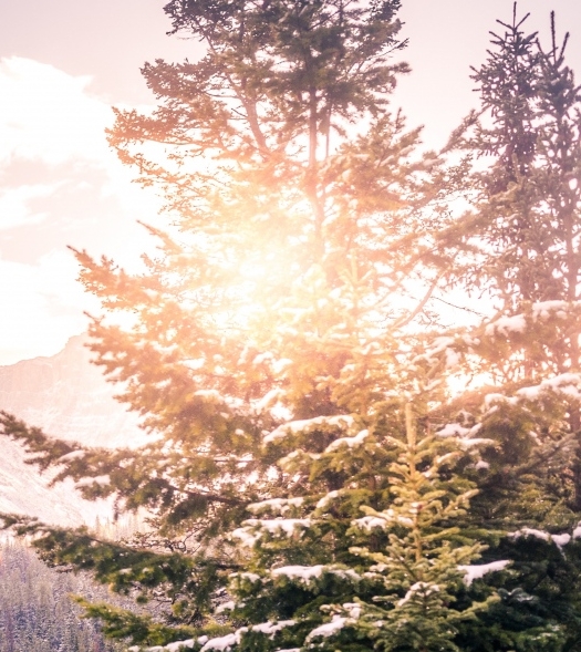 期货可以投资什么项目赚钱