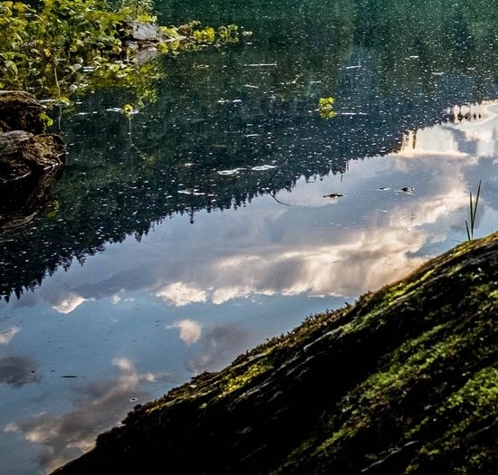 亢翻译赚钱渠道案例