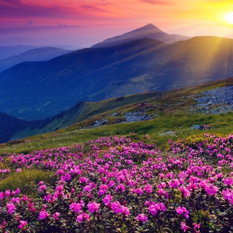 足浴店经理成功案例