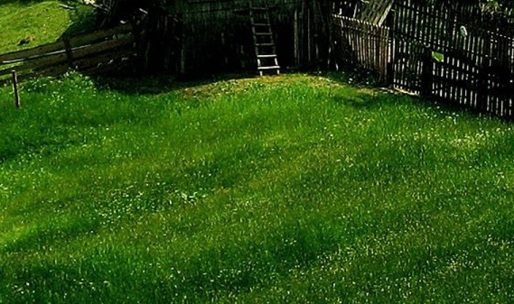 不上班赚钱案例