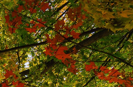 赚钱项目标题怎么写好