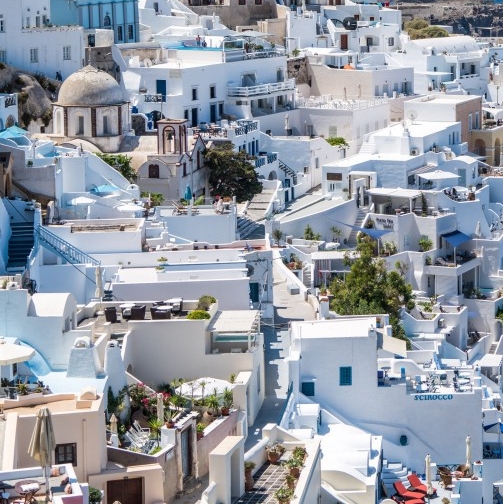 中国女老板女企业家