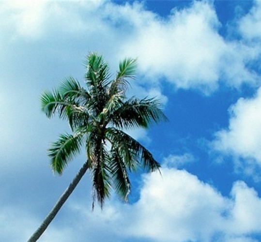 摄影工作室朋友圈宣传文案