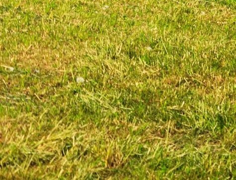 一万块白手起家案例