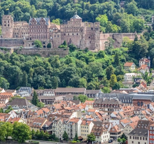 中国女老板赚钱案例