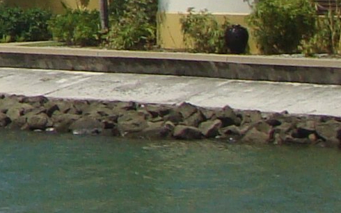 女生如何快速赚钱方法