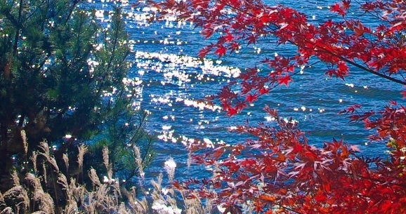 目前最赚钱的项目是什么