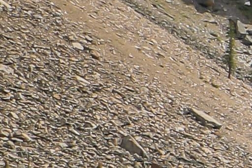 门面房干什么挣钱