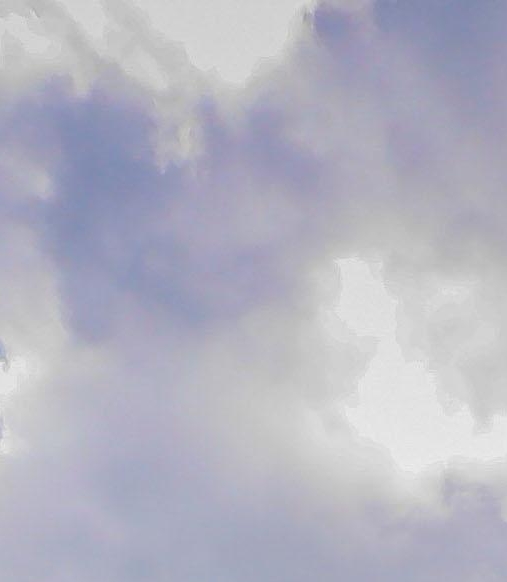 科技项目申报专员前景