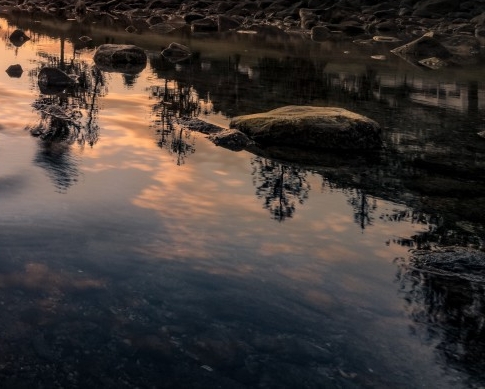 搬砖赚钱项目名称大全