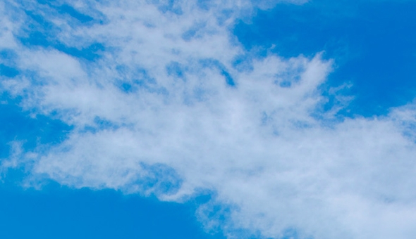 田野抽水赚钱案例