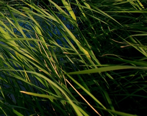 保定赚钱项目加盟电话地址