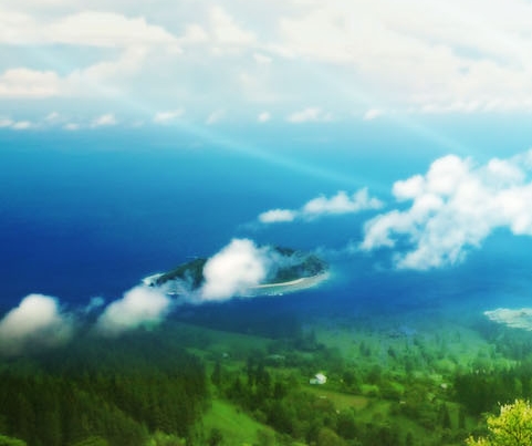 身边有赚钱的案例