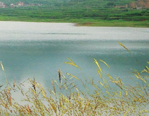 武安找工作最新消息