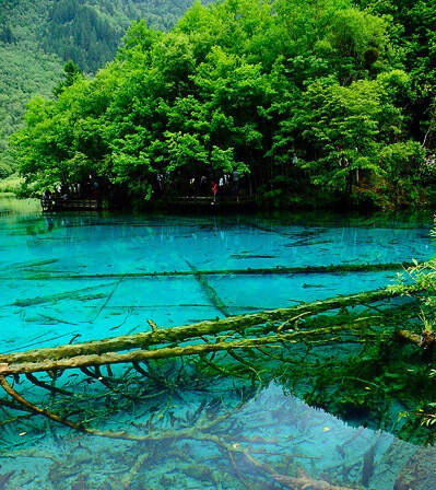 简单无脑赚钱项目图片大全