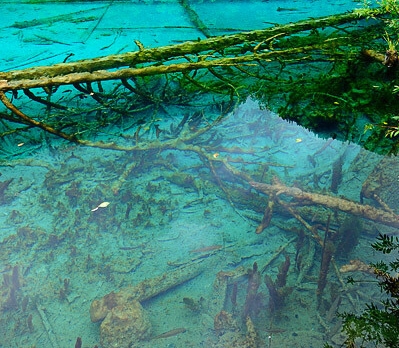 二货朋友是什么意思