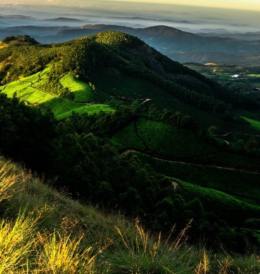 在小县城摆地摊卖什么最赚钱而且很受欢迎