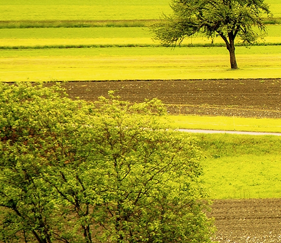 饰品赚钱方法大全图片高清