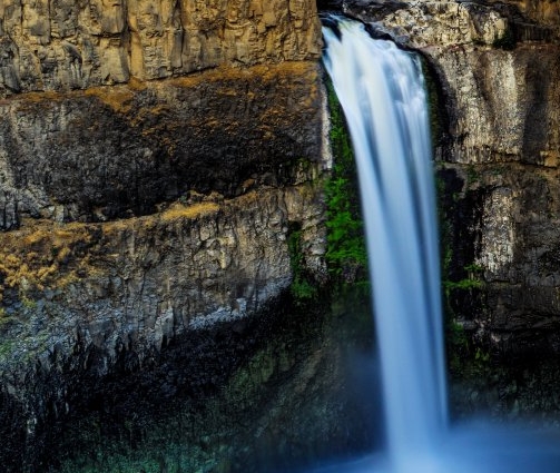 想成立一家相亲俱乐部赚钱吗