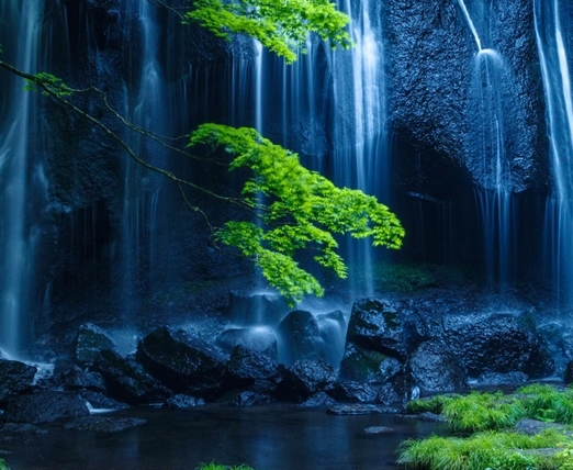 独家分销渠道案例