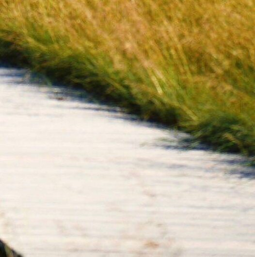 开皮划艇项目赚钱吗现在