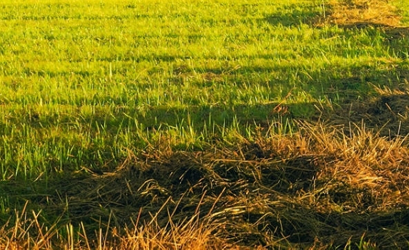 比小啄赚钱更好的软件是什么