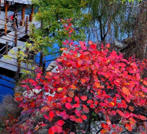 分享首播破百赚钱方法