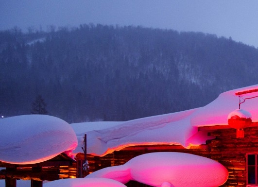 金蝶哪个项目最赚钱的