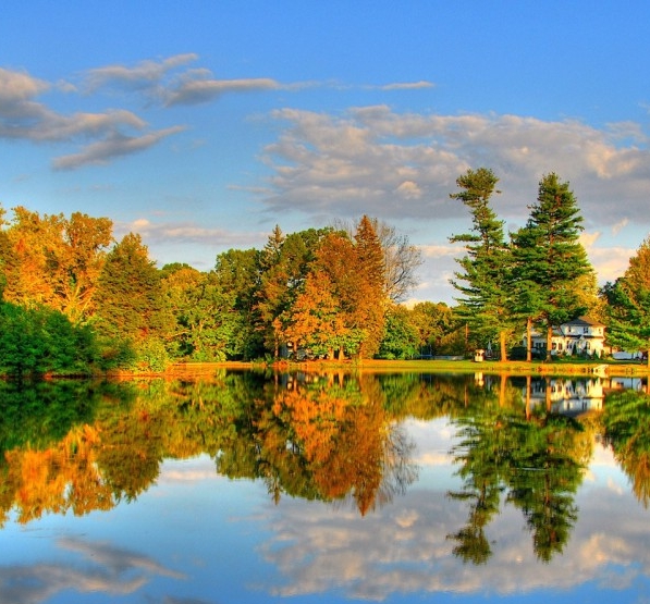 背景卡可以做什么项目赚钱