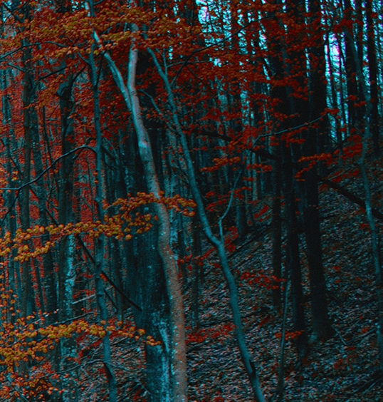 关于股权赚钱案例