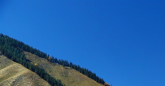 有没有人造子宫