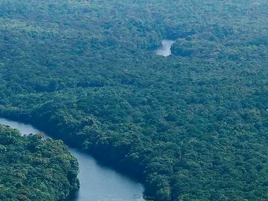 学编曲能赚钱吗