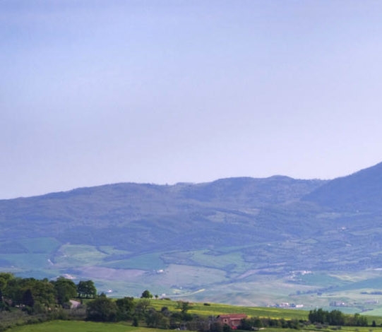 在家赚钱的方法