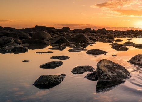 私人宠物店一月能赚钱