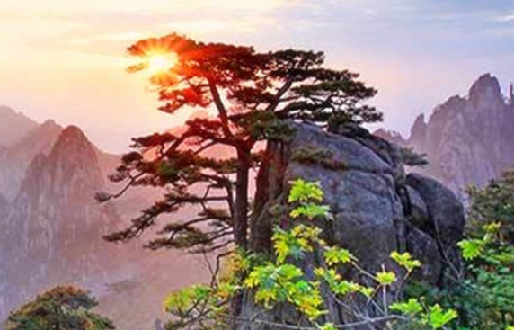 家具哪些赚钱项目好找工人