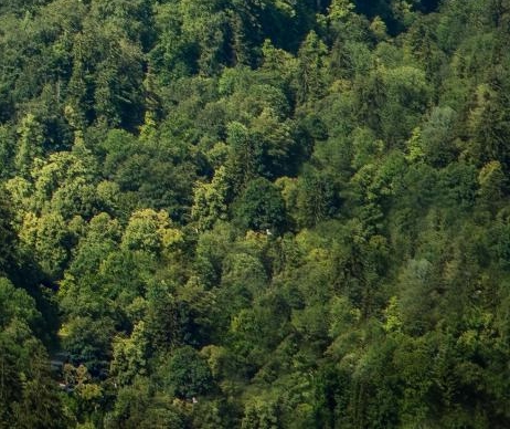 虾皮如何打造爆款