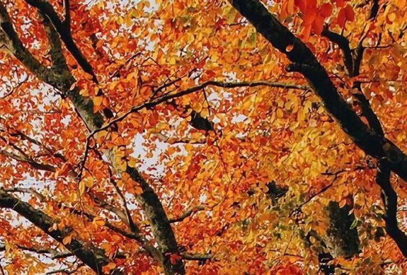 好门面能做啥项目赚钱