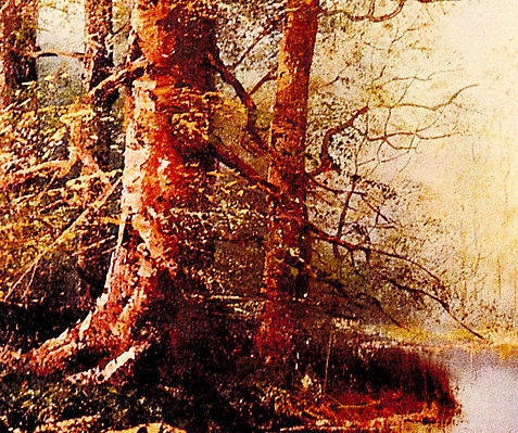 最新商业模式100个案例