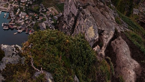 夫妻卖菜赚钱案例