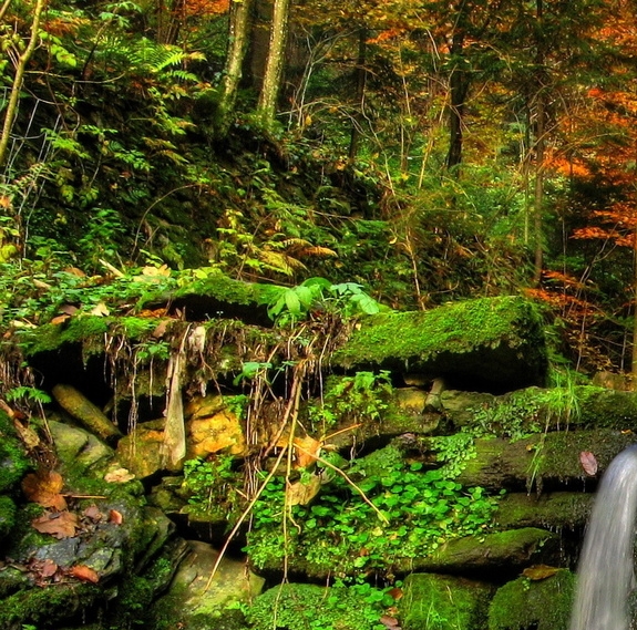 摆摊卖什么赚钱成本又低