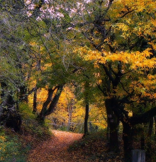 干货有哪些副业小项目赚钱