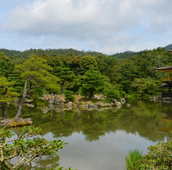 项目申报专员风险大吗
