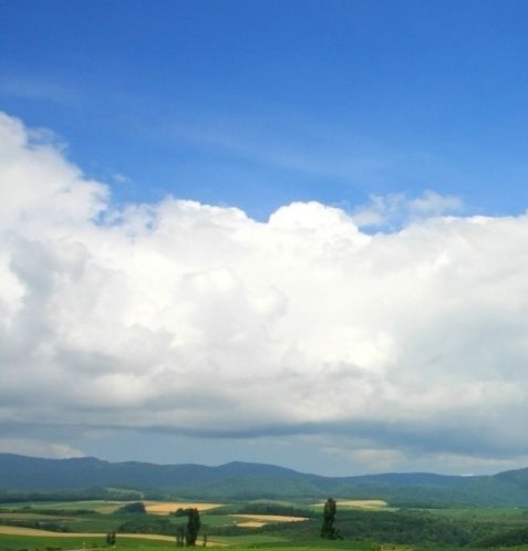 课后加餐赚钱案例