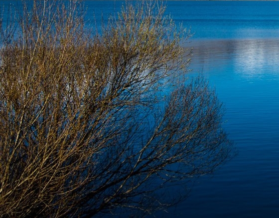 高手赚钱案例大全