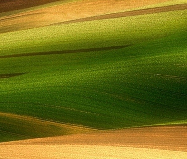 有什么赚小钱的方法