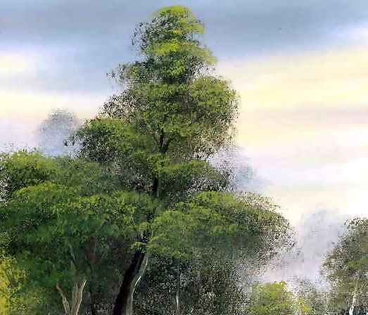 ASP编程赚钱渠道案例
