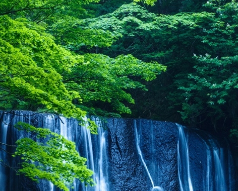 冷门项目怎么运营好赚钱