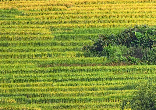 塞尔达 卖什么赚钱