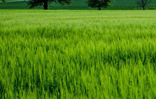 加盟快运赚钱方法视频